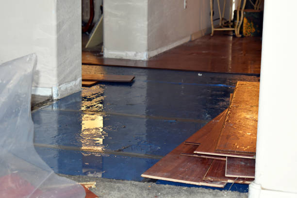 Professional Basement Flood Cleanup technician working in Monson, ME
